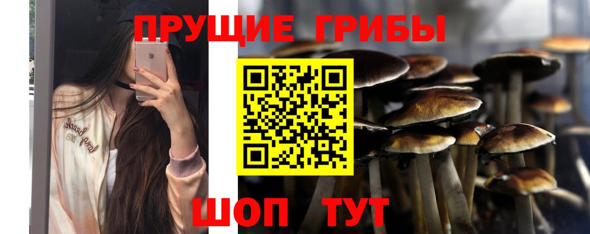 Боровичи  Галлюциногенные грибы Psilocybine cubensis  Псилоцибиновые грибы MAGIC MUSHROOMS  Вход с VPN 